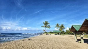 Knowledge Base 7 Hawaii's Tourism Paradox: Why 10 Million Annual Visitors Aren't Enough—and What California Families