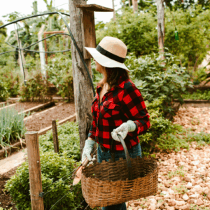 Knowledge Base 10 What Baby Boomers Know About Hospitality That Could Transform Your Estate Planning Approach