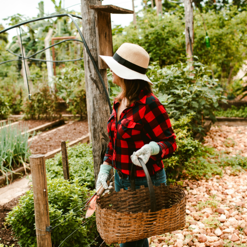 What Baby Boomers Know About Hospitality That Could Transform Your Estate Planning Approach 1 What Baby Boomers Know About Hospitality That Could Transform Your Estate Planning Approach